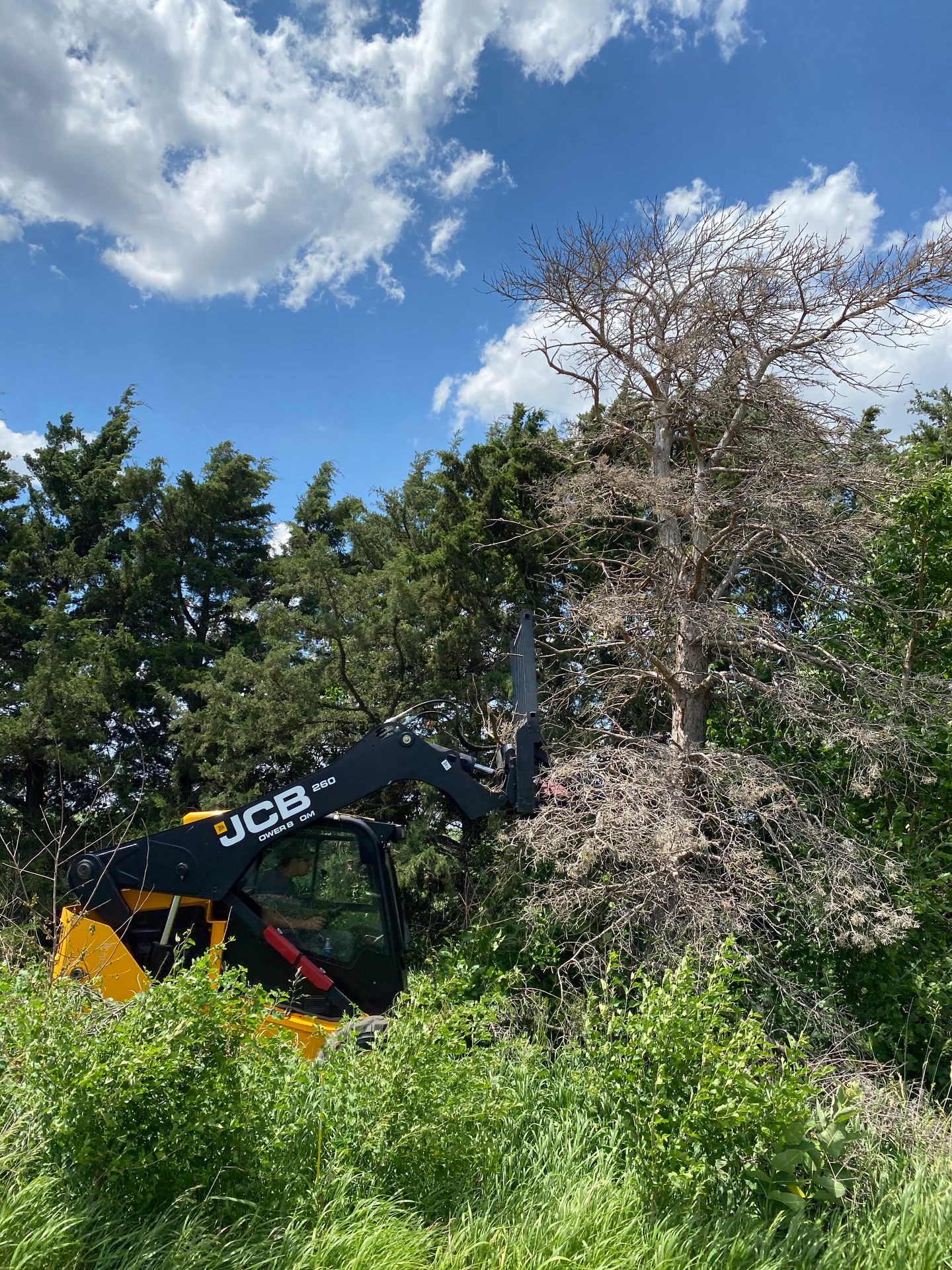 Land Clearing