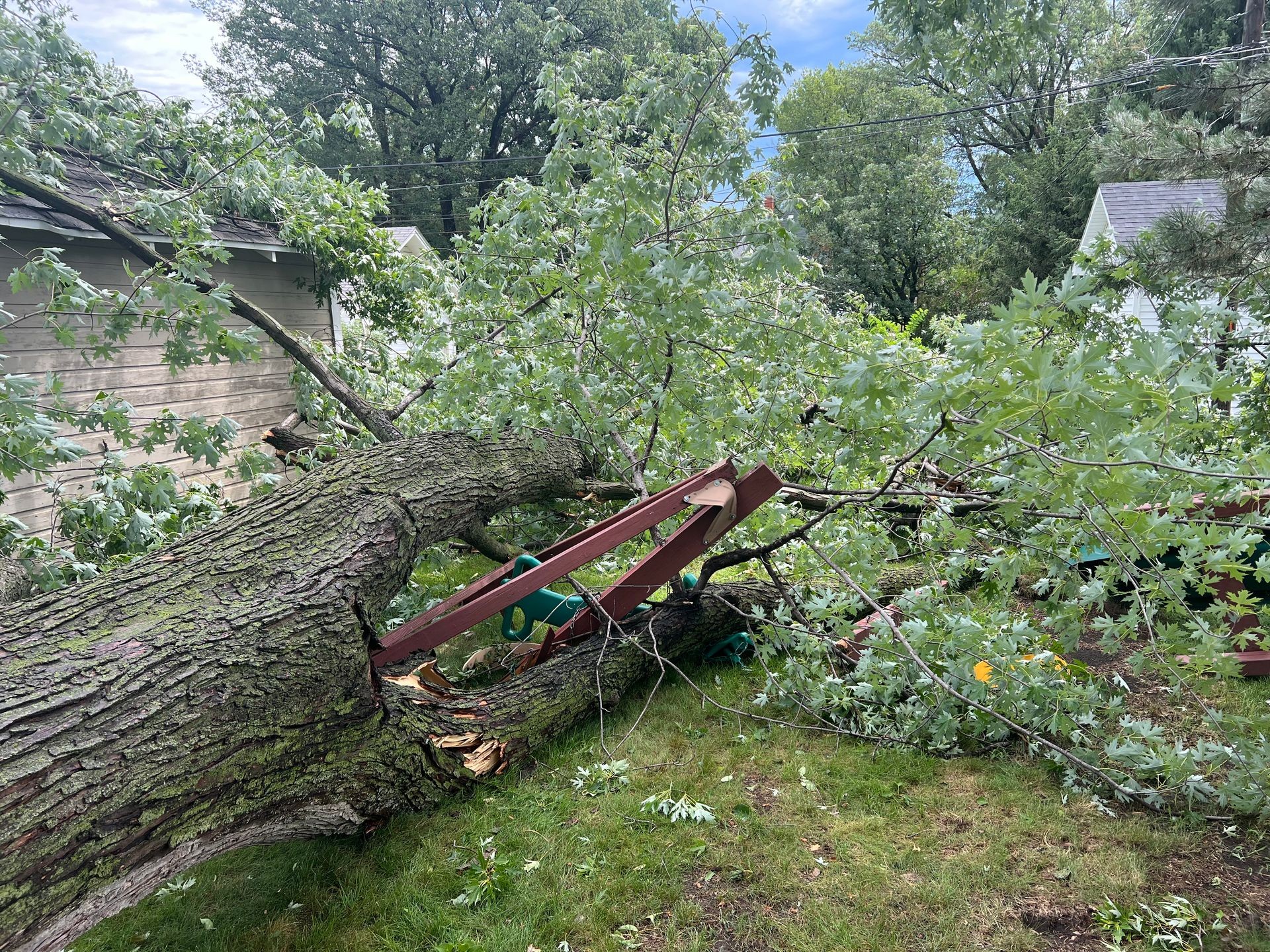 Emergency Tree Services